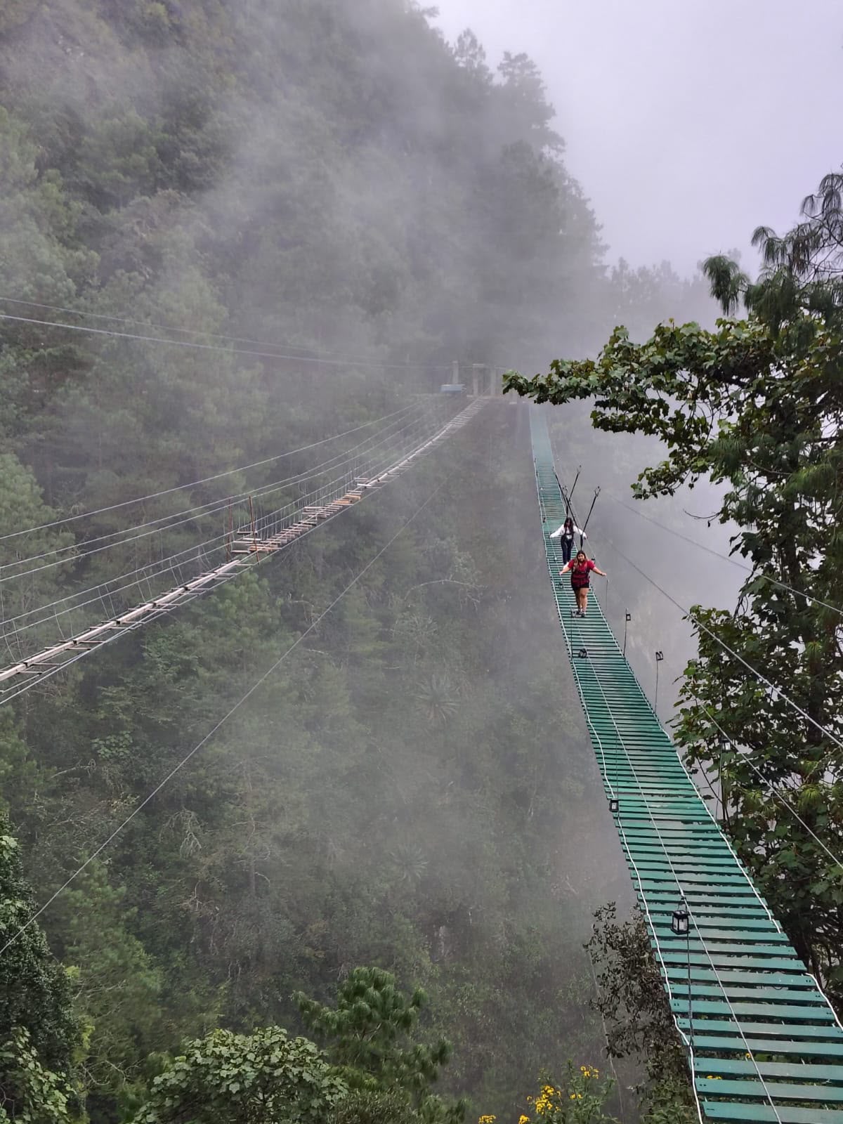 Solo Transporte: Aventura en San José del Pacífico 5